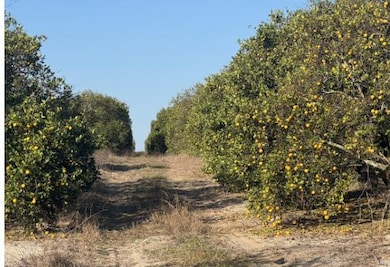 0 S Lake Patrick Rd unit 25664210, Frostproof, FL 33843 - photo 4