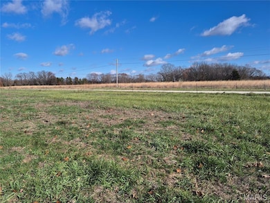 0 Logan School Rd (28 2+ - Acres), New Florence, MO 63363 - photo 2