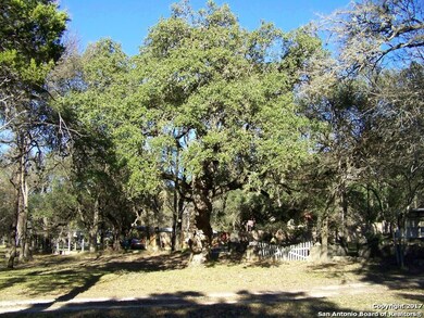 19410 Scenic Loop Rd, Grey Forest, TX - photo 2