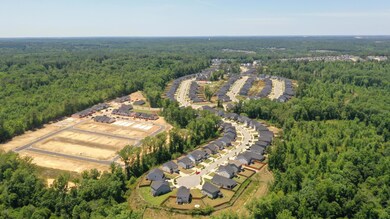 DJI_0831