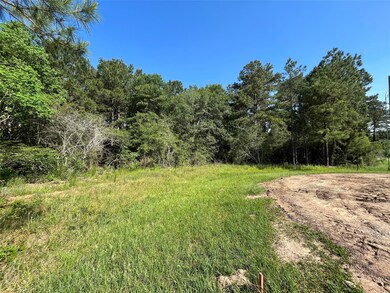 22091 Bryantwood Ct, Hockley, TX 77447 - photo 4