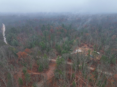 6270 Woods Trail, Custer, MI 49405 - photo 6