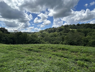 1 Chicken Creek Rd, Pulaski, TN 38478 - photo 5