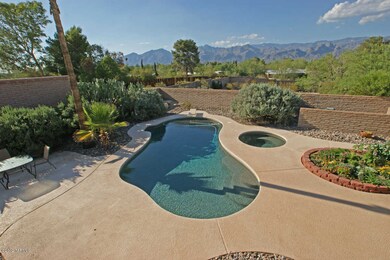 Back Yard View