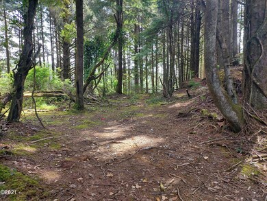 TL 2000 SW Bard Rd, Lincoln City, OR 97367 - photo 3