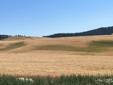 TBD, Viola, ID 83872 - photo 7