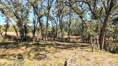 34672 Ansley Ridge Trail, Bulverde, TX 78163 - photo 7