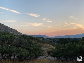 11 Bent Hollow Ln unit 1141, Sandy, UT 84092 - photo 2