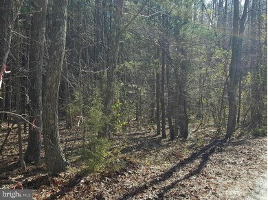 0 Mt Airy Dr unit 1000142911, Ruther Glen, VA 22546 - photo 3