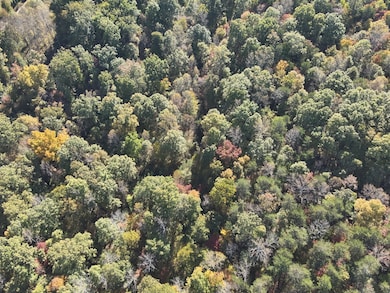 000 Roaring Fork Lake Rd, Chatham, VA 24531 - photo 3