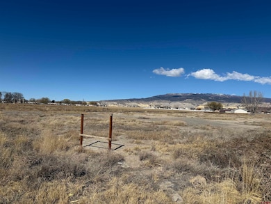 10.5 ac. LOT 1B 1525 Rd, Delta, CO 81416 - photo 2