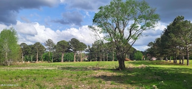 0 Bozeman Rd unit 4115697, Madison, MS 39110 - photo 6