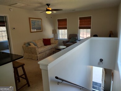 1467 Elders Mill Rd unit ABOVE GARAGE APARTME, Senoia, GA 30276 - photo 6