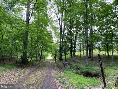 431 Preston Unger Ln, Berkeley Springs, WV 25411 - photo 3