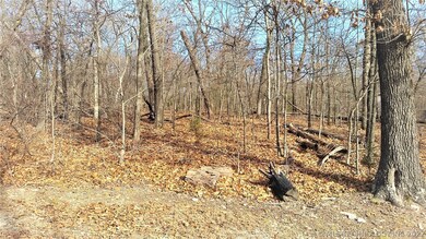 0 Dove Rd unit 2023723, Locust Grove, OK 74352 - photo 3