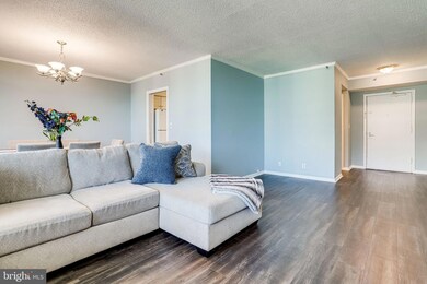 5501 Seminary Rd unit 2213S, Baileys Crossroads, VA 22041 - photo 6