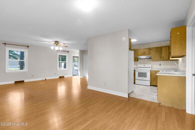 209 Mccoy Ave, Cove City, NC 28523 - photo 4