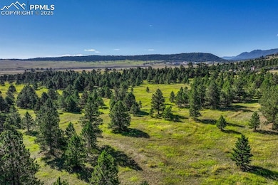 0 S Perry Park Rd unit 9483755, Larkspur, CO 80118 - photo 2