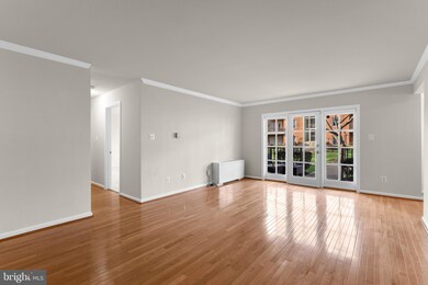 3336 Spring Ln unit A-26, Baileys Crossroads, VA 22041 - photo 3