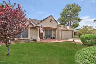 1043-E-Sequoia-Dr-12