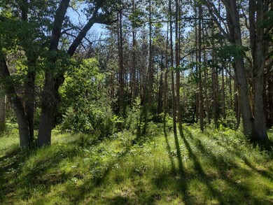 IMG_20220616_093549050_HDR