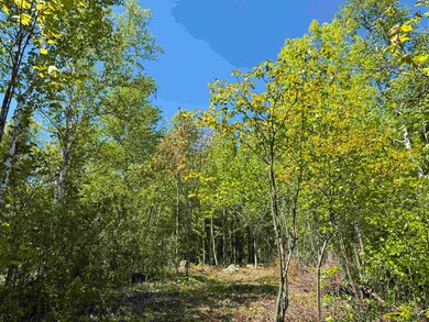 Unit 2 Fernberg Rd, Fall Lake Township, MN 55731 - photo 4