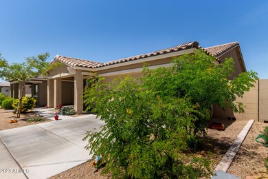 0006-03 - Mesquite
