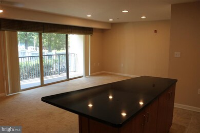 1002 Primrose Rd, Annapolis, MD 21403 - photo 6