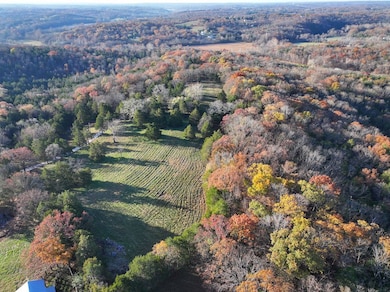 000 Scanlon Dr, de Soto, MO 63020 - photo 3