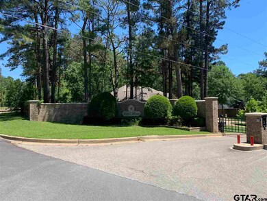 10881 Deer Creek Dr, Tyler, TX 75707 - photo 7