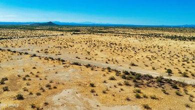 DJI_0511