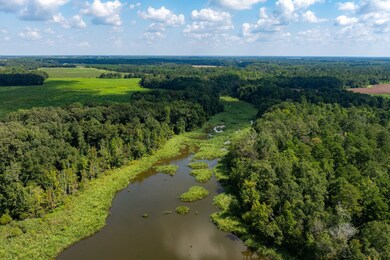 Gin Pond, Bluffton, GA 39824 - photo 4