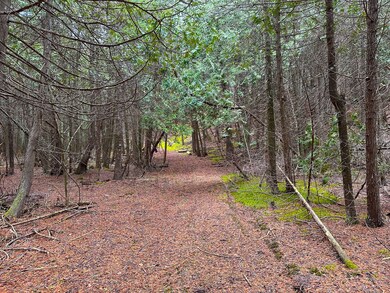 trails-in-interior-5
