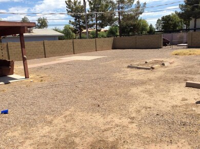 Backyard 3