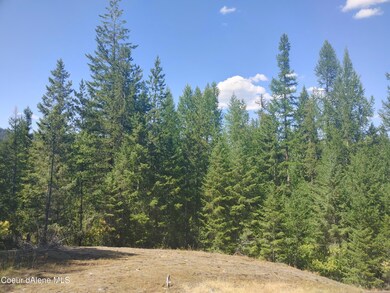 0708211456a_HDR