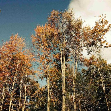 50 Barnett Rd, Fairfax, VT 05454 - photo 6