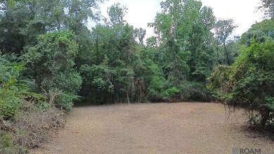 Tract A John D Wood Rd, Franklinton, LA 70438 - photo 3