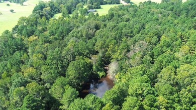 7405 County Road 1830, Crockett, TX 75835 - photo 4