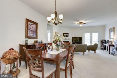 24636 Woolly Mammoth Terrace unit 201, Aldie, VA 20105 - photo 5