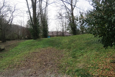 218 Celina St, Livingston, TN 38570 - photo 2