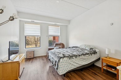 2335 W Belle Plaine Ave unit 211, Chicago, IL 60618 - photo 7