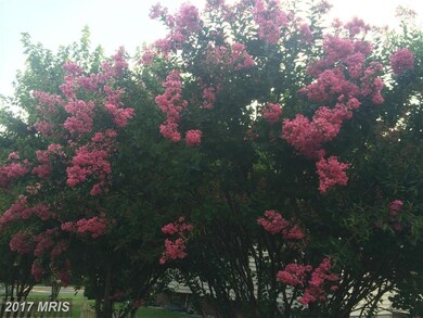 8233 Electric Ave, Vienna, VA 22182 - photo 4