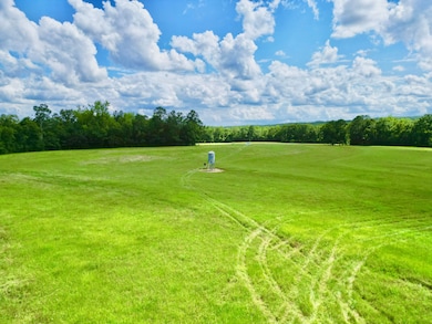 187 County Road 3343, Brundidge, AL 36010 - photo 2