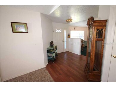 11843 Pasco Trails Blvd, Spring Hill, FL 34610 - photo 5