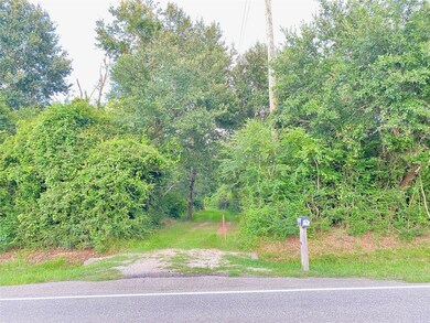 20242 Kickapoo Rd, Waller, TX 77484 - photo 2