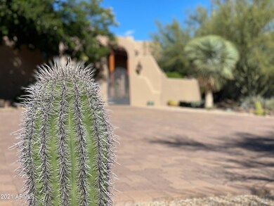 Cactus