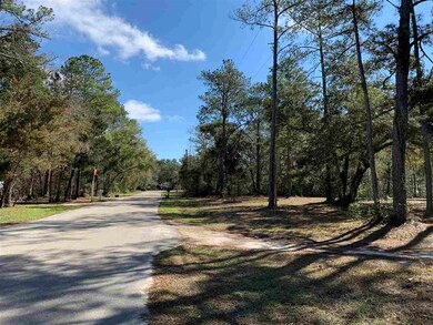 TBD Mill Creek Rd, Crawfordville, FL 32327 - photo 2