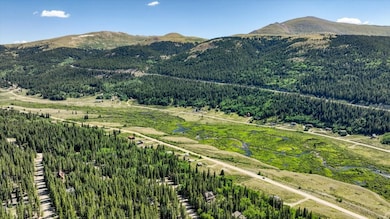 234 Peterson Dr, Fairplay, CO 80440 - photo 5