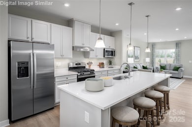 11117 Emerson Landing Dr, Charlotte, NC 28214 - photo 3