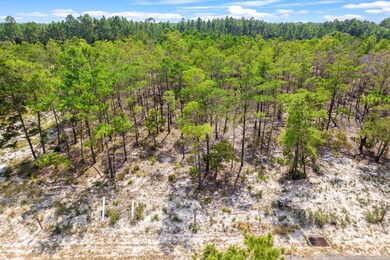 5-web-or-mls-1556-salamander-trail